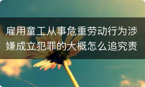 雇用童工从事危重劳动行为涉嫌成立犯罪的大概怎么追究责任