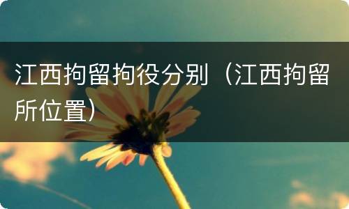 江西拘留拘役分别（江西拘留所位置）