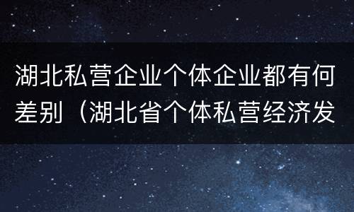 湖北私营企业个体企业都有何差别（湖北省个体私营经济发展中心）