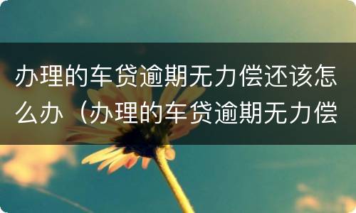 办理的车贷逾期无力偿还该怎么办（办理的车贷逾期无力偿还该怎么办理）