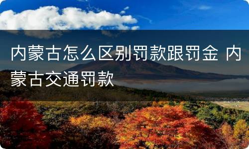 内蒙古怎么区别罚款跟罚金 内蒙古交通罚款