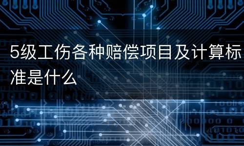 5级工伤各种赔偿项目及计算标准是什么