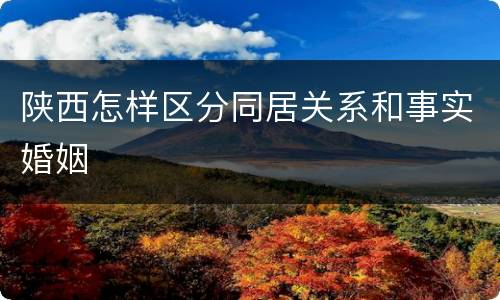 陕西怎样区分同居关系和事实婚姻