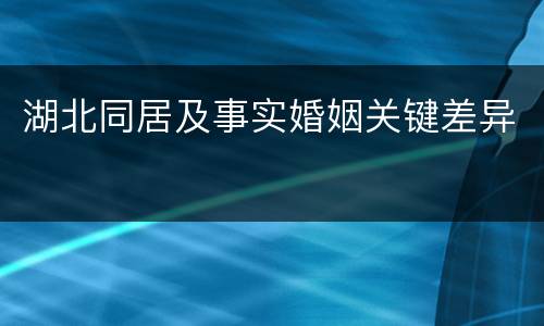 湖北同居及事实婚姻关键差异