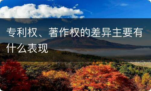 专利权、著作权的差异主要有什么表现