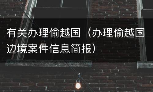 有关办理偷越国（办理偷越国边境案件信息简报）