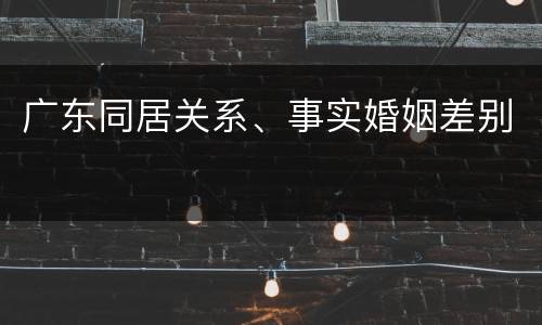 广东同居关系、事实婚姻差别
