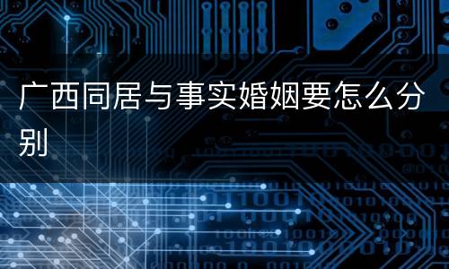 广西同居与事实婚姻要怎么分别