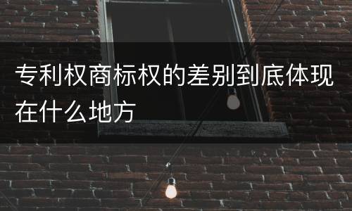 专利权商标权的差别到底体现在什么地方