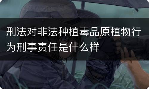 刑法对非法种植毒品原植物行为刑事责任是什么样