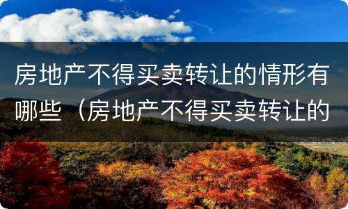 房地产不得买卖转让的情形有哪些（房地产不得买卖转让的情形有哪些类型）
