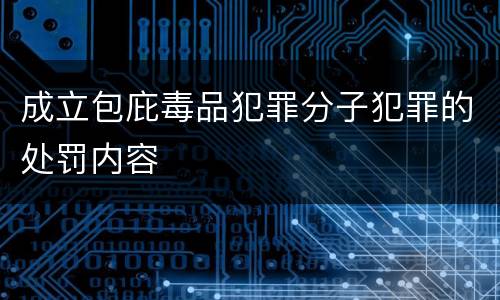 成立包庇毒品犯罪分子犯罪的处罚内容