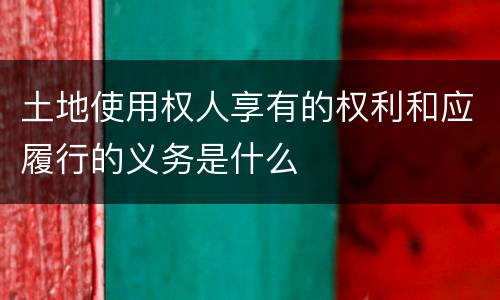土地使用权人享有的权利和应履行的义务是什么