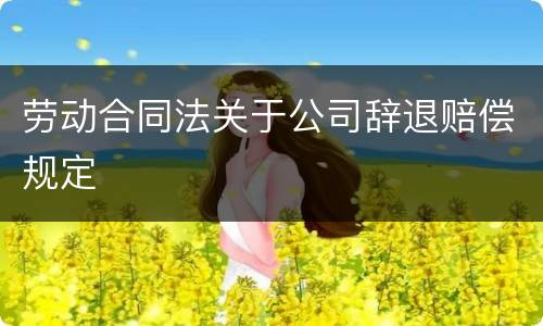 劳动合同法关于公司辞退赔偿规定