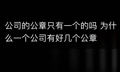 公司的公章只有一个的吗 为什么一个公司有好几个公章