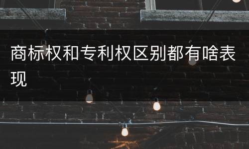 商标权和专利权区别都有啥表现