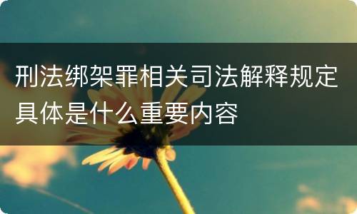 刑法绑架罪相关司法解释规定具体是什么重要内容