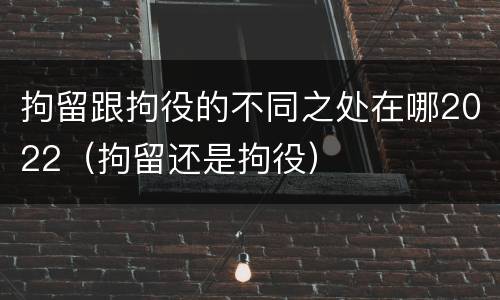 拘留跟拘役的不同之处在哪2022（拘留还是拘役）