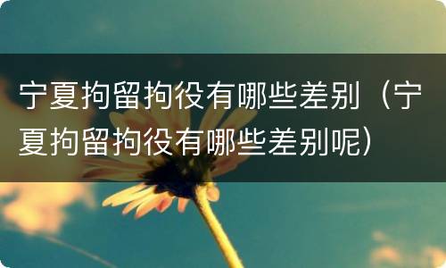 宁夏拘留拘役有哪些差别（宁夏拘留拘役有哪些差别呢）