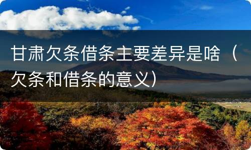 甘肃欠条借条主要差异是啥（欠条和借条的意义）