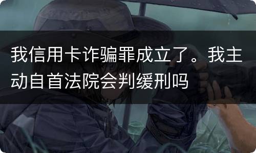 我信用卡诈骗罪成立了。我主动自首法院会判缓刑吗