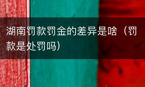 湖南罚款罚金的差异是啥（罚款是处罚吗）
