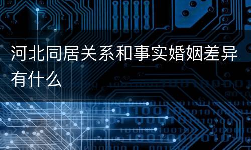 河北同居关系和事实婚姻差异有什么