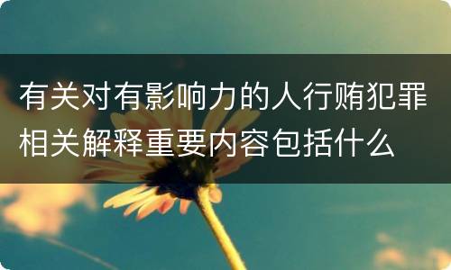 有关对有影响力的人行贿犯罪相关解释重要内容包括什么