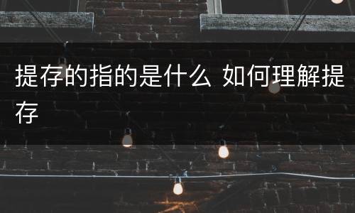 提存的指的是什么 如何理解提存