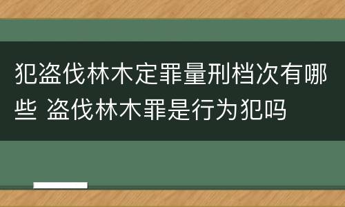 犯盗伐林木定罪量刑档次有哪些 盗伐林木罪是行为犯吗