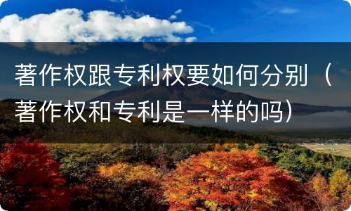 著作权跟专利权要如何分别（著作权和专利是一样的吗）