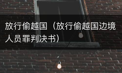 放行偷越国（放行偷越国边境人员罪判决书）