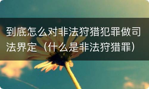 到底怎么对非法狩猎犯罪做司法界定（什么是非法狩猎罪）