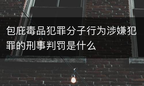 包庇毒品犯罪分子行为涉嫌犯罪的刑事判罚是什么