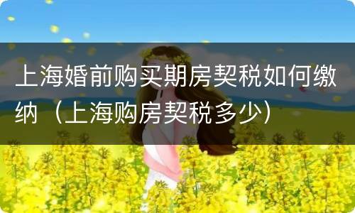 上海婚前购买期房契税如何缴纳（上海购房契税多少）