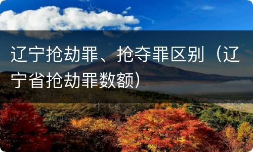 辽宁抢劫罪、抢夺罪区别（辽宁省抢劫罪数额）