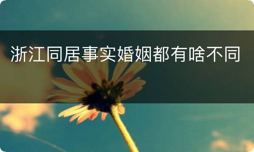 浙江同居事实婚姻都有啥不同