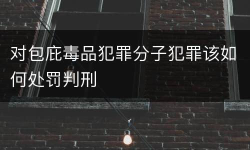 对包庇毒品犯罪分子犯罪该如何处罚判刑