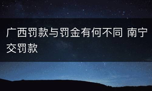 广西罚款与罚金有何不同 南宁交罚款