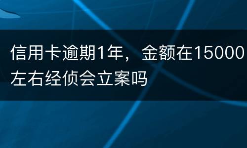 信用卡逾期1年，金额在15000左右经侦会立案吗