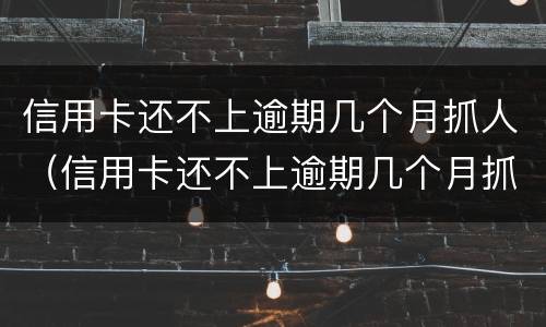 信用卡还不上逾期几个月抓人（信用卡还不上逾期几个月抓人有用吗）