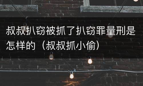 叔叔扒窃被抓了扒窃罪量刑是怎样的（叔叔抓小偷）
