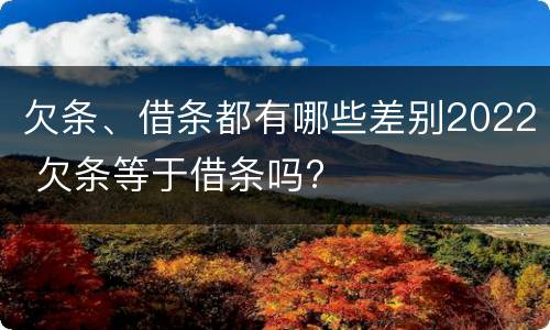 欠条、借条都有哪些差别2022 欠条等于借条吗?