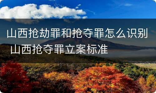 山西抢劫罪和抢夺罪怎么识别 山西抢夺罪立案标准