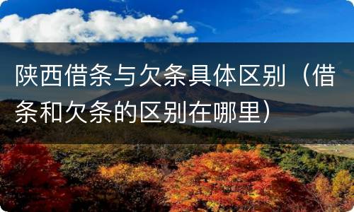 陕西借条与欠条具体区别（借条和欠条的区别在哪里）