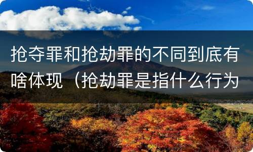 抢夺罪和抢劫罪的不同到底有啥体现（抢劫罪是指什么行为）