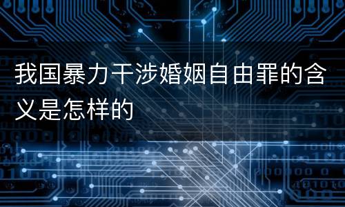 我国暴力干涉婚姻自由罪的含义是怎样的