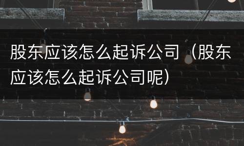 股东应该怎么起诉公司（股东应该怎么起诉公司呢）
