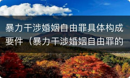暴力干涉婚姻自由罪具体构成要件（暴力干涉婚姻自由罪的构成要件）