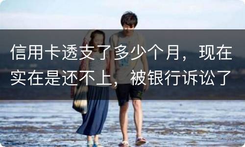 信用卡透支了多少个月，现在实在是还不上，被银行诉讼了要怎样办，谢谢